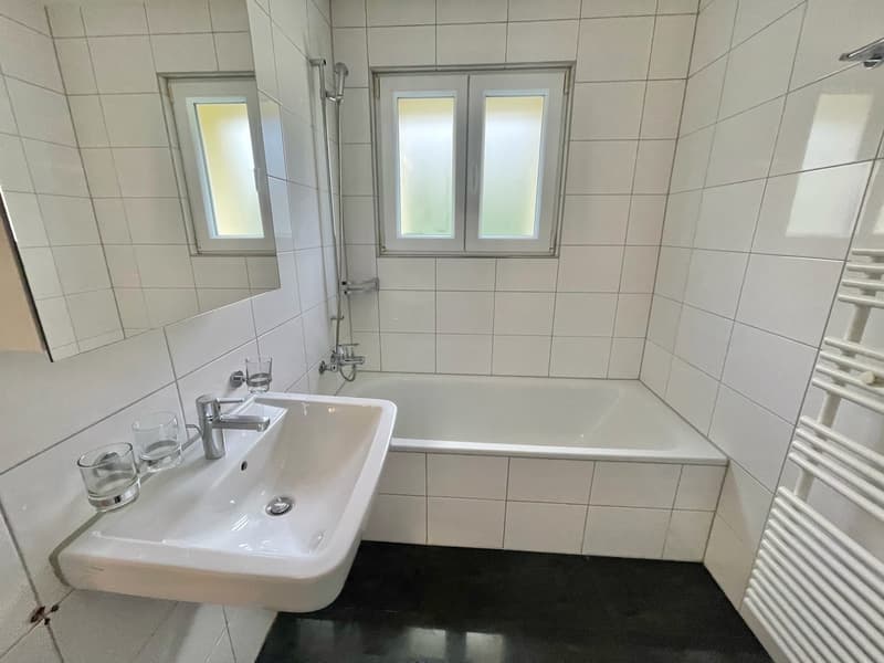 Preiswerte, grosszügige 4.5 Zimmer Wohnungen an Hanglage mit genialer Panoramasicht (12)