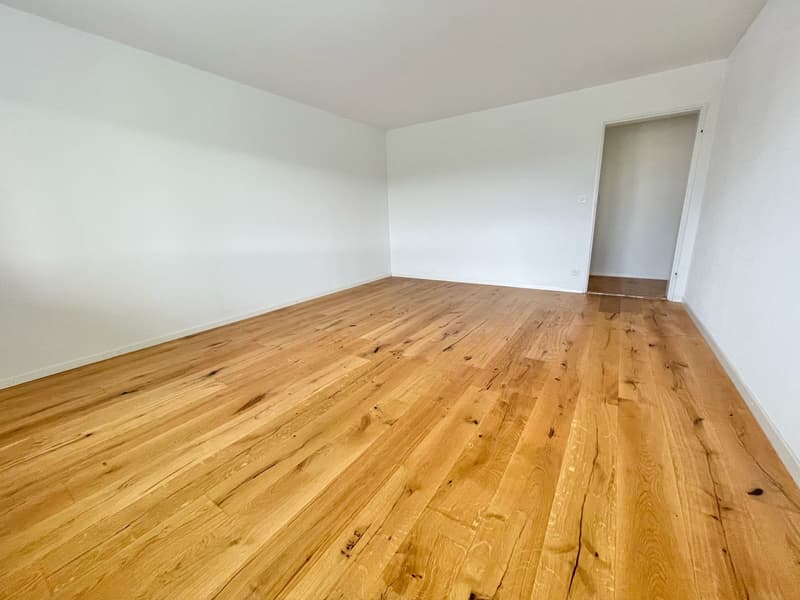 Preiswerte, grosszügige 4.5 Zimmer Wohnungen an Hanglage mit genialer Panoramasicht (4)