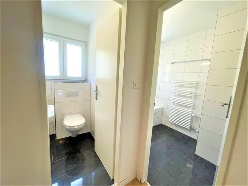 Preiswerte, grosszügige 4.5 Zimmer Wohnungen an Hanglage mit genialer Panoramasicht (11)