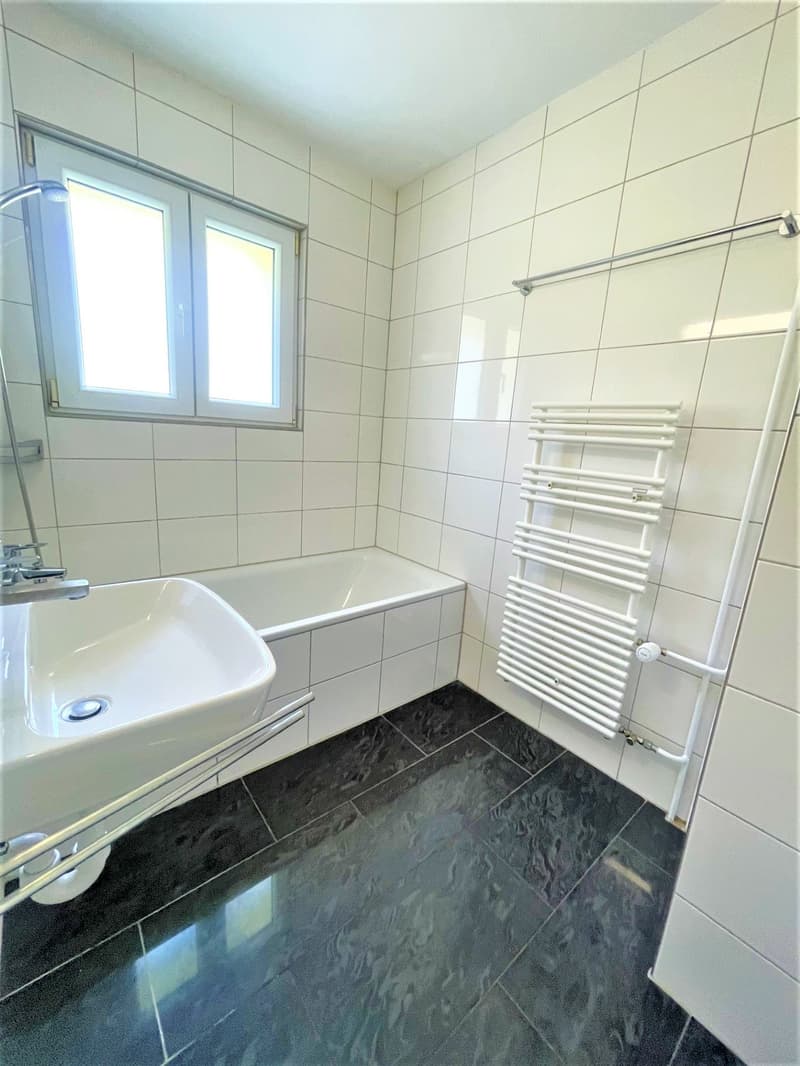 Preiswerte, grosszügige 4.5 Zimmer Wohnungen an Hanglage mit genialer Panoramasicht (10)