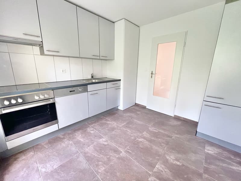 Preiswerte, grosszügige 4.5 Zimmer Wohnungen an Hanglage mit genialer Panoramasicht (2)