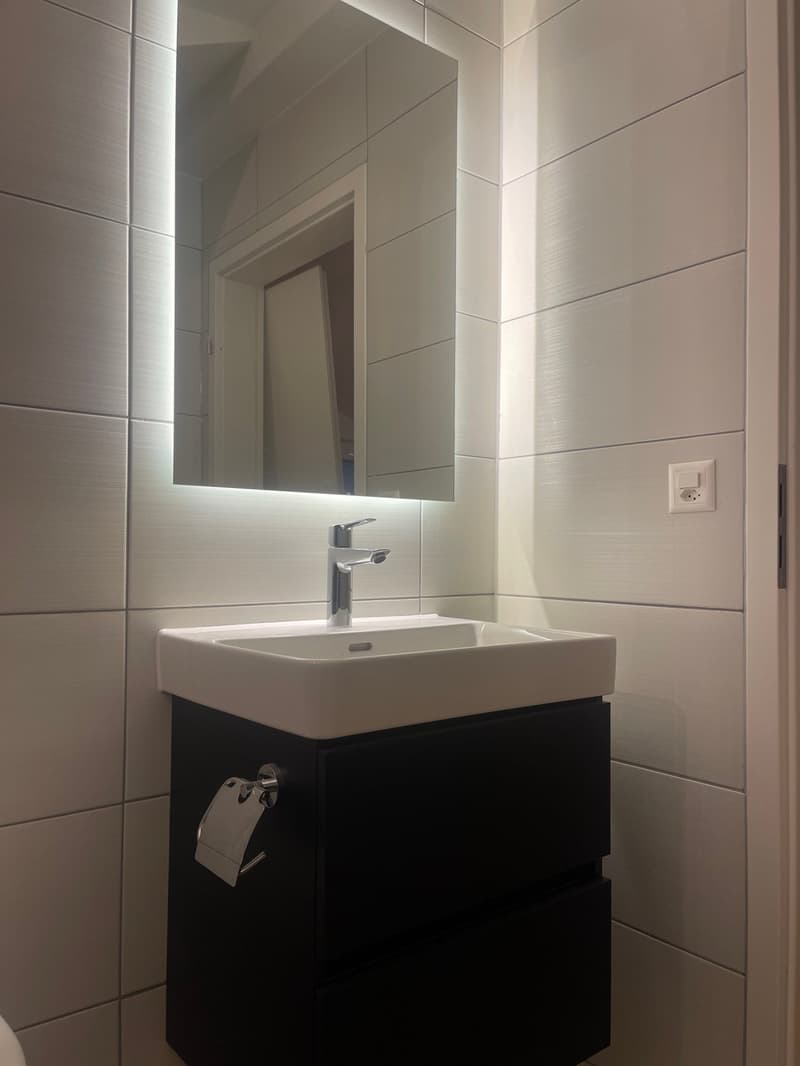 TOP MODERNE 2.5 ZIMMER DACHWOHNUNGEN IM RUHIGEN WOHNQUARTIER ZU VERMIETEN (11)