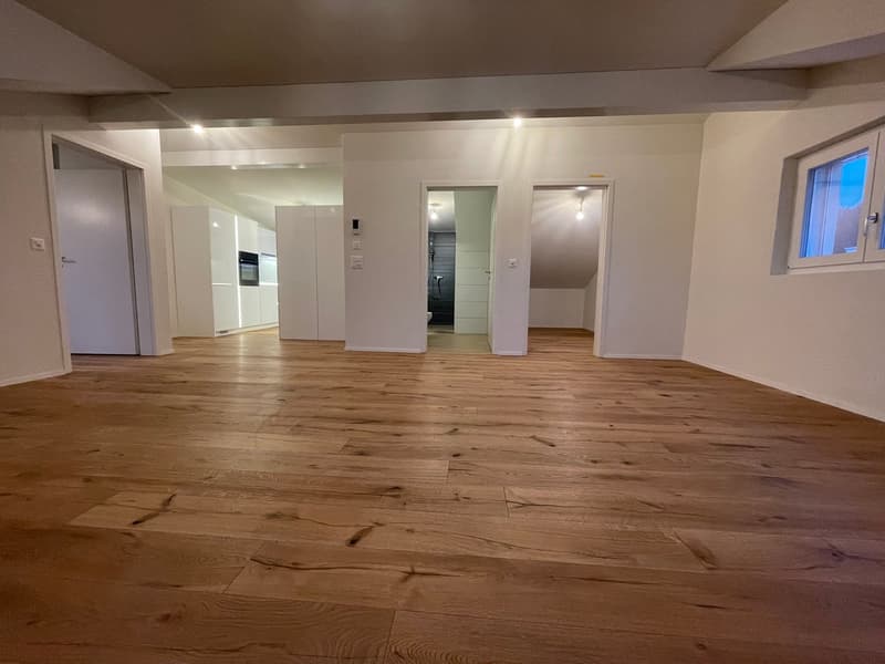 TOP MODERNE 2.5 ZIMMER DACHWOHNUNGEN IM RUHIGEN WOHNQUARTIER ZU VERMIETEN (7)