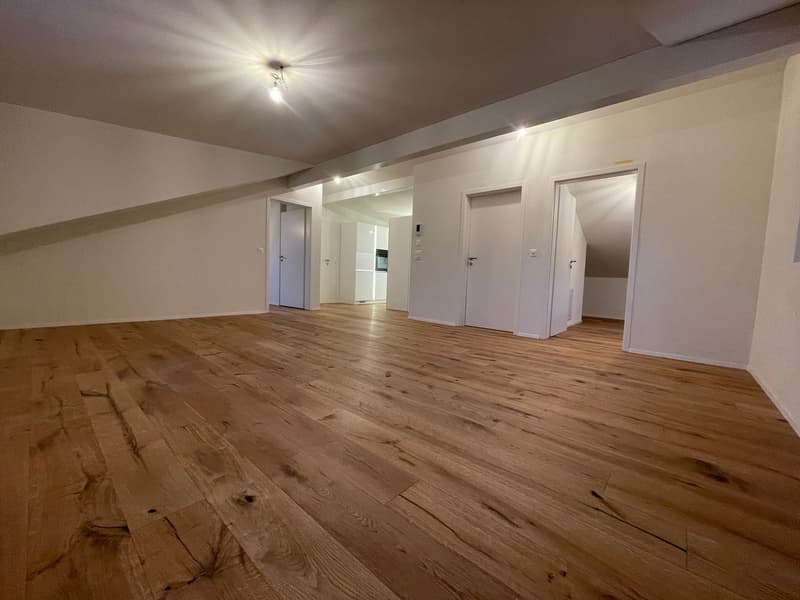 TOP MODERNE 2.5 ZIMMER DACHWOHNUNGEN IM RUHIGEN WOHNQUARTIER ZU VERMIETEN (6)