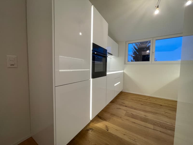 TOP MODERNE 2.5 ZIMMER DACHWOHNUNGEN IM RUHIGEN WOHNQUARTIER ZU VERMIETEN (1)