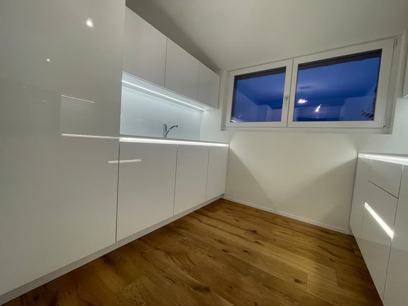 TOP MODERNE 2.5 ZIMMER DACHWOHNUNGEN IM RUHIGEN WOHNQUARTIER ZU VERMIETEN (2)