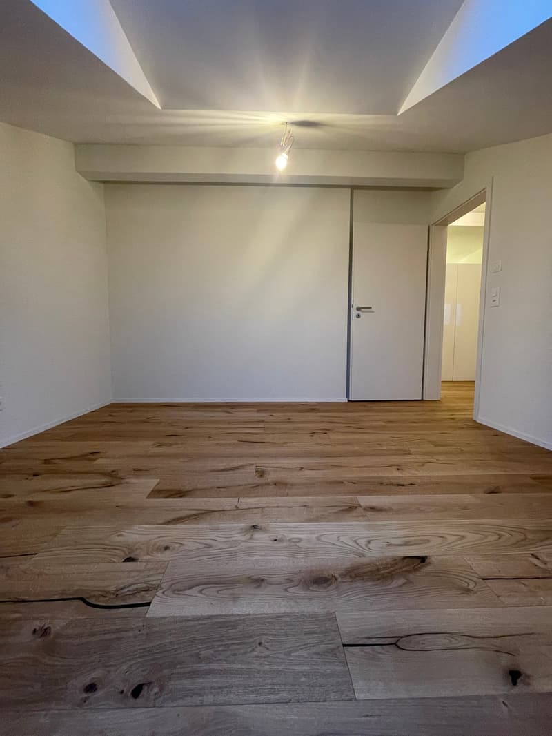 TOP MODERNE 2.5 ZIMMER DACHWOHNUNGEN IM RUHIGEN WOHNQUARTIER ZU VERMIETEN (4)
