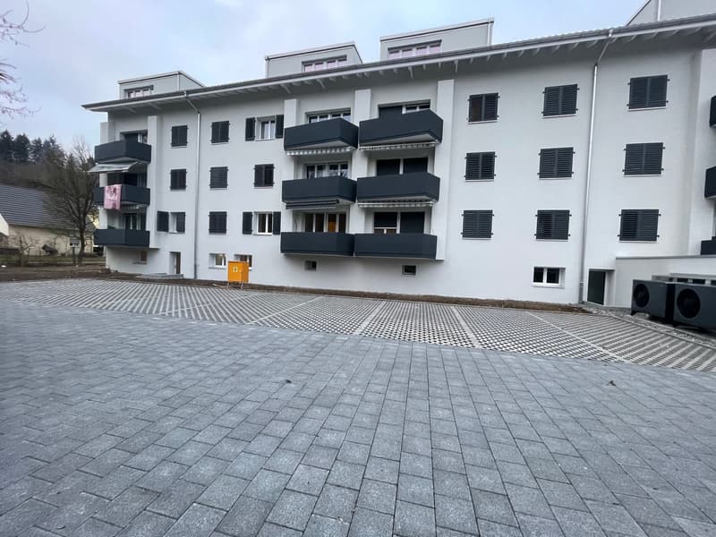 TOP MODERNE 2.5 ZIMMER DACHWOHNUNGEN IM RUHIGEN WOHNQUARTIER ZU VERMIETEN (14)