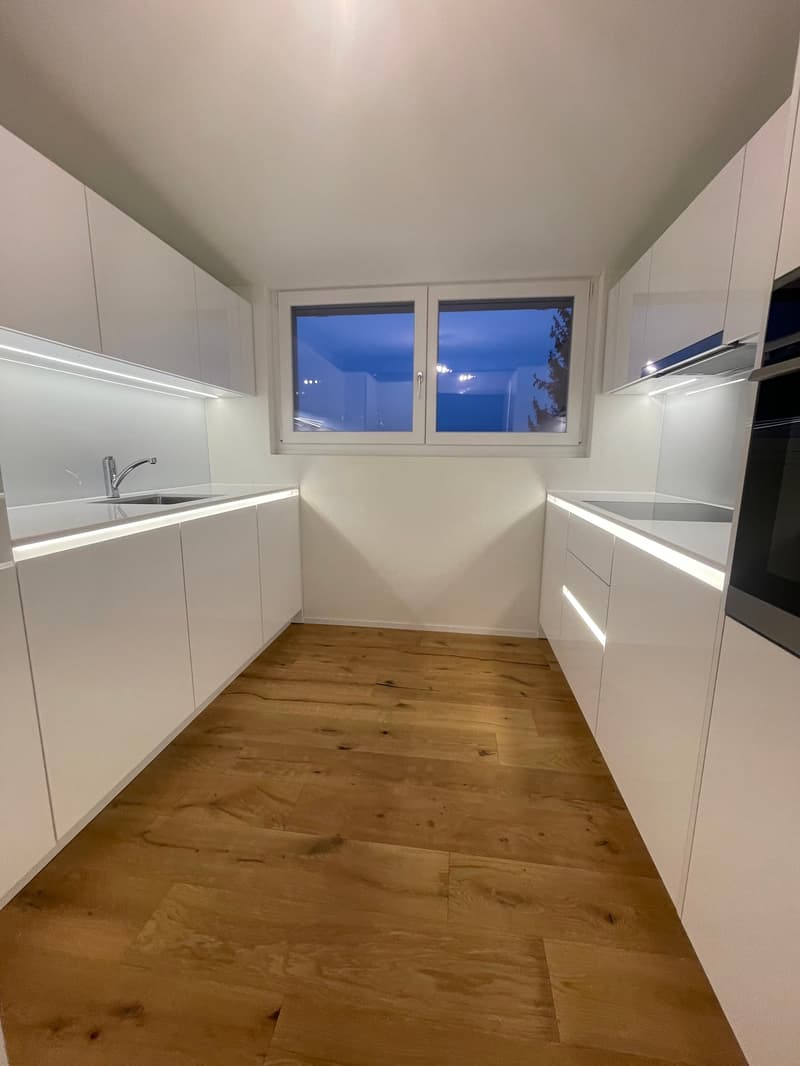 TOP MODERNE 2.5 ZIMMER DACHWOHNUNGEN IM RUHIGEN WOHNQUARTIER ZU VERMIETEN (3)