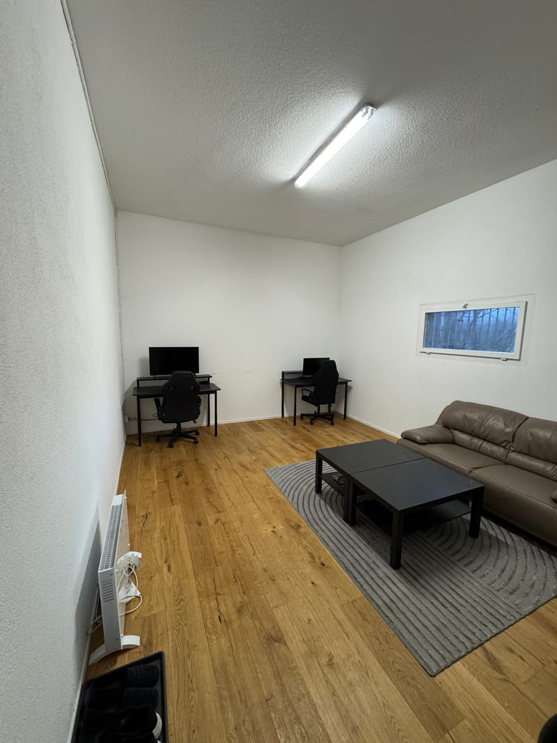 A room with wooden floor, white walls, two black desks with monitors and chairs, a brown couch, a black coffee table, a gray rug, and a white radiator.