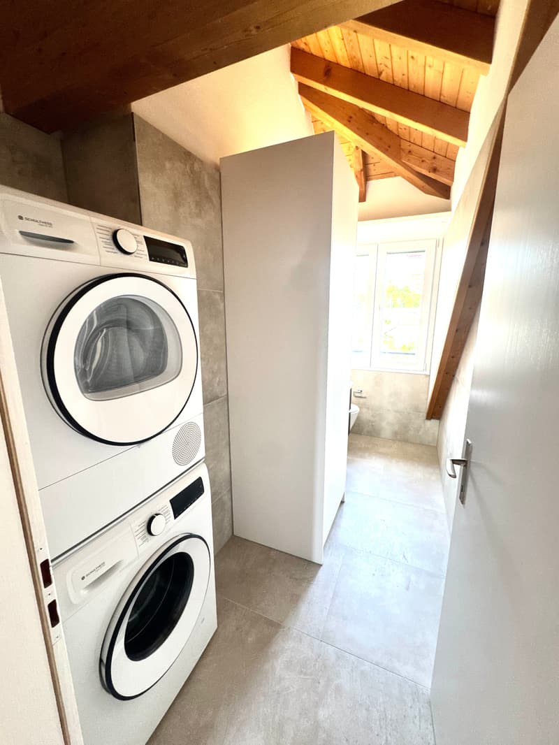 ERSTVERMIETUNG: Wunderschöne 3.5 Zimmer Wohnungen in Niedergösgen (20)