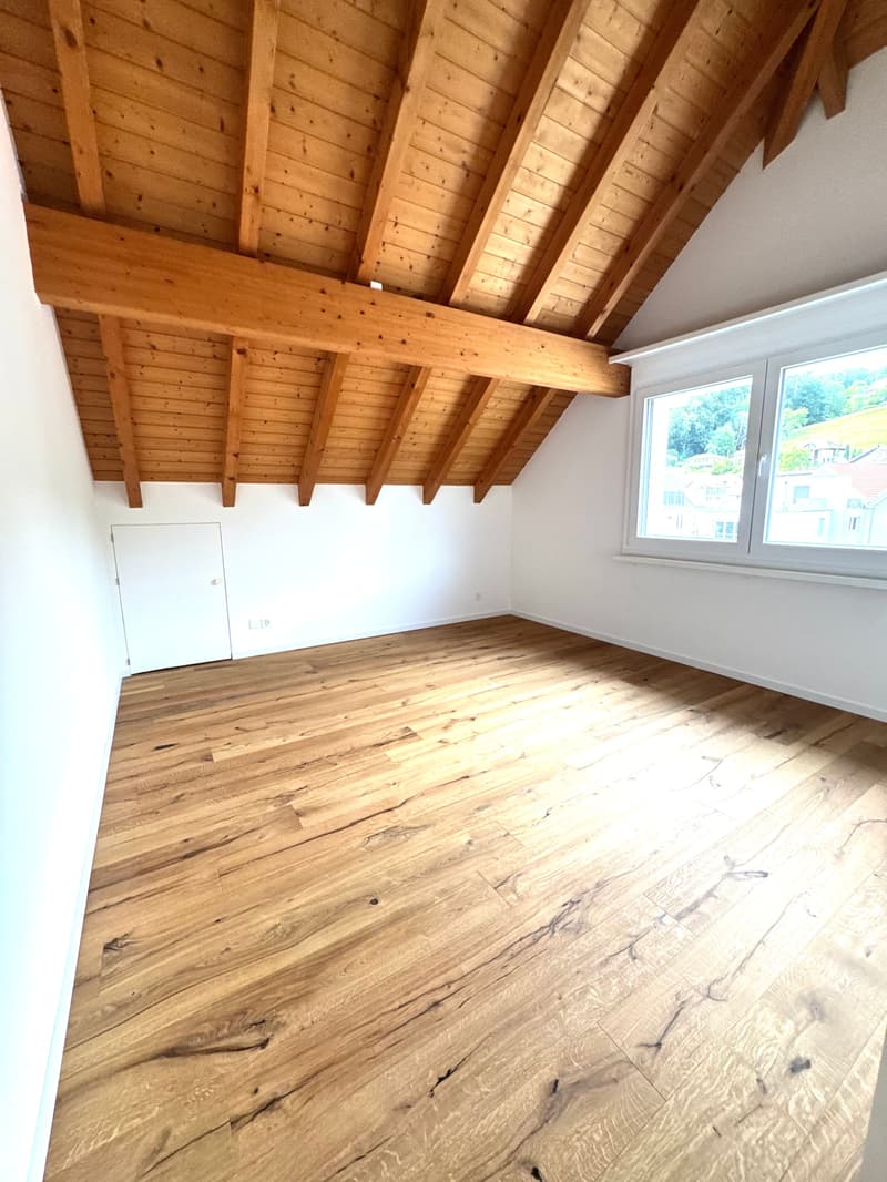 ERSTVERMIETUNG: Wunderschöne 3.5 Zimmer Wohnungen in Niedergösgen (26)