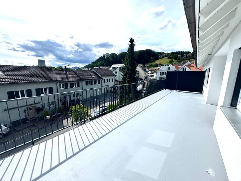 ERSTVERMIETUNG: Wunderschöne 4.5 Zimmer Wohnungen in Niedergösgen (15)