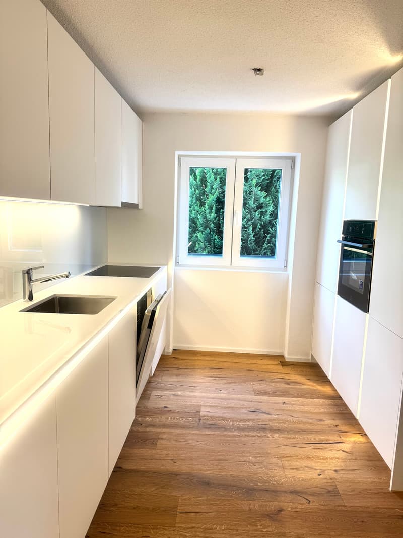 ERSTVERMIETUNG: Wunderschöne 4.5 Zimmer Wohnungen in Niedergösgen (7)