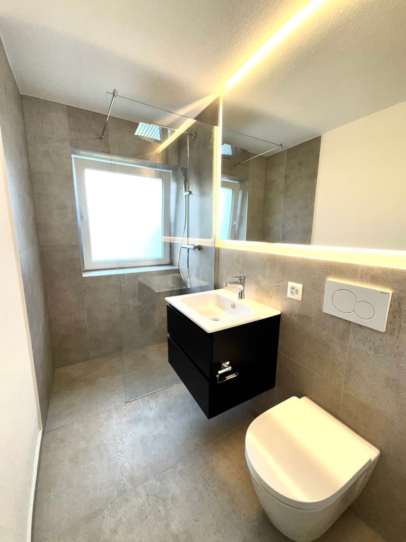 ERSTVERMIETUNG: Wunderschöne 4.5 Zimmer Wohnungen in Niedergösgen (5)