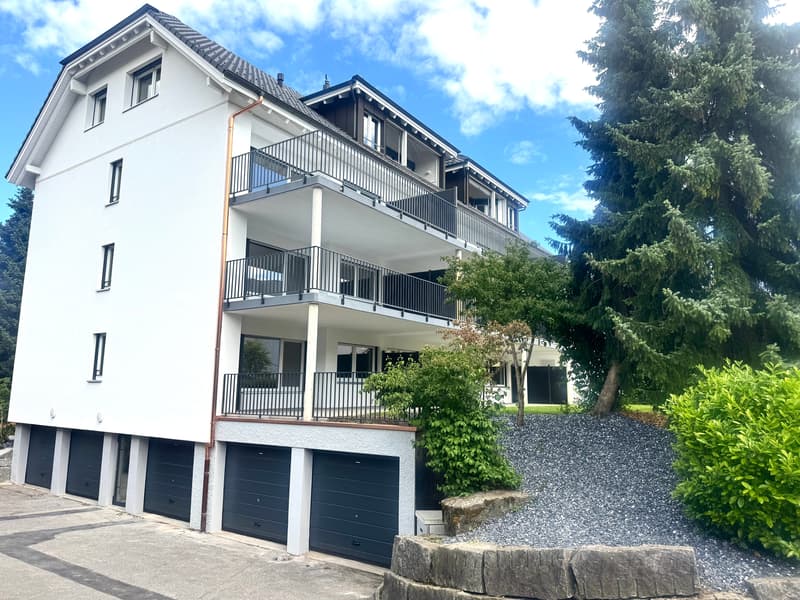 ERSTVERMIETUNG: Wunderschöne 4.5 Zimmer Wohnungen in Niedergösgen (18)
