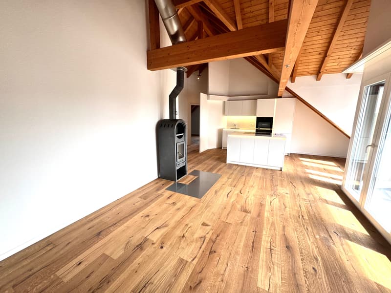 ERSTVERMIETUNG: Wunderschöne 4.5 Zimmer Wohnungen in Niedergösgen (23)