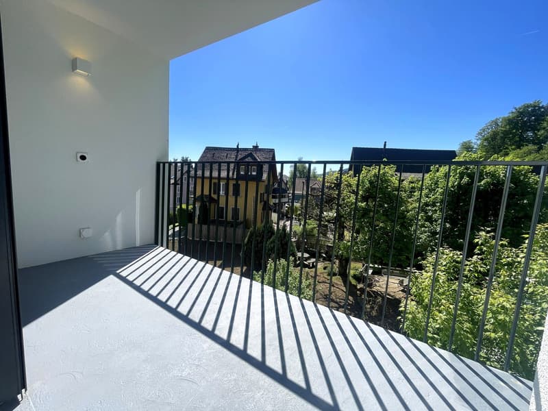 2. Etappe - ERSTVERMIETUNG: Wunderschöne 4.5-Zimmer-Wohnungen in Baden (14)