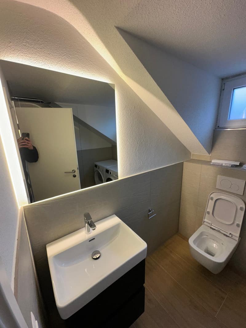 Tolle 2.5 Zimmer Attika-Wohnungen in Wangen bei Olten (4)