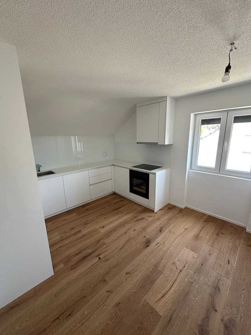 Tolle 2.5 Zimmer Attika-Wohnungen in Wangen bei Olten (1)