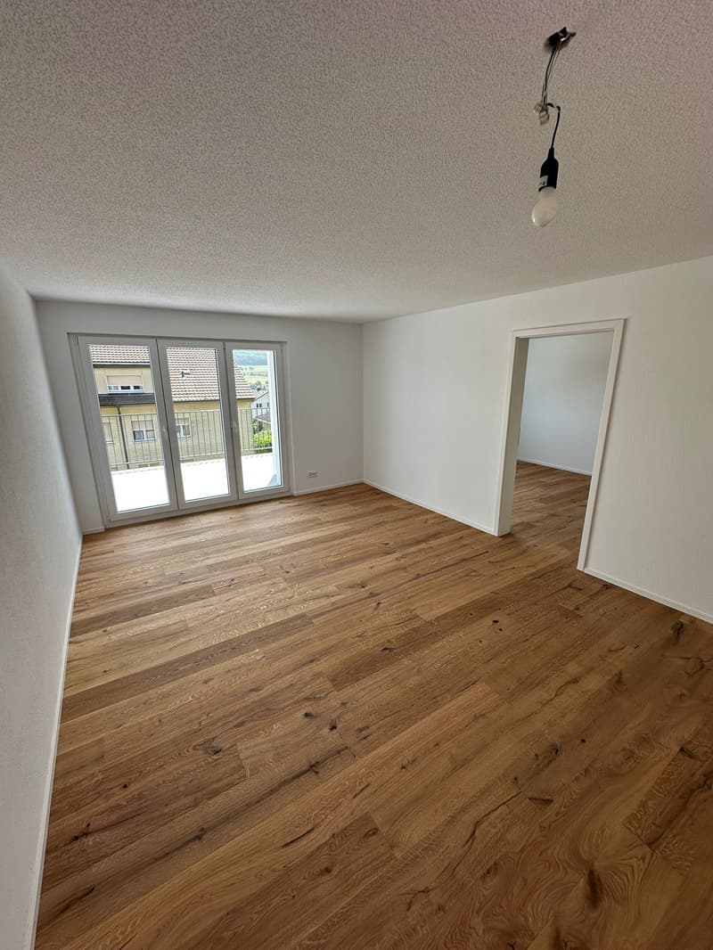 Tolle 2.5 Zimmer Attika-Wohnungen in Wangen bei Olten (15)