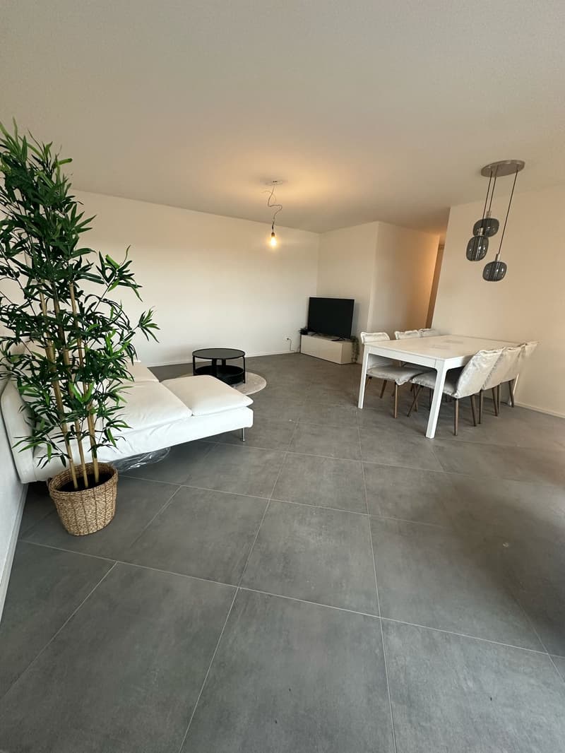 Tolle 3.5 Zimmer Wohnungen an erstklassiger Lage (4)