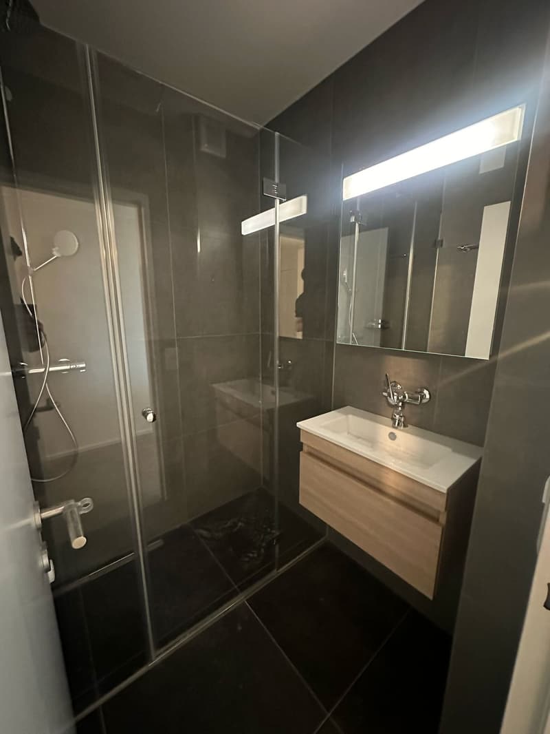 Tolle 3.5 Zimmer Wohnungen an erstklassiger Lage (6)