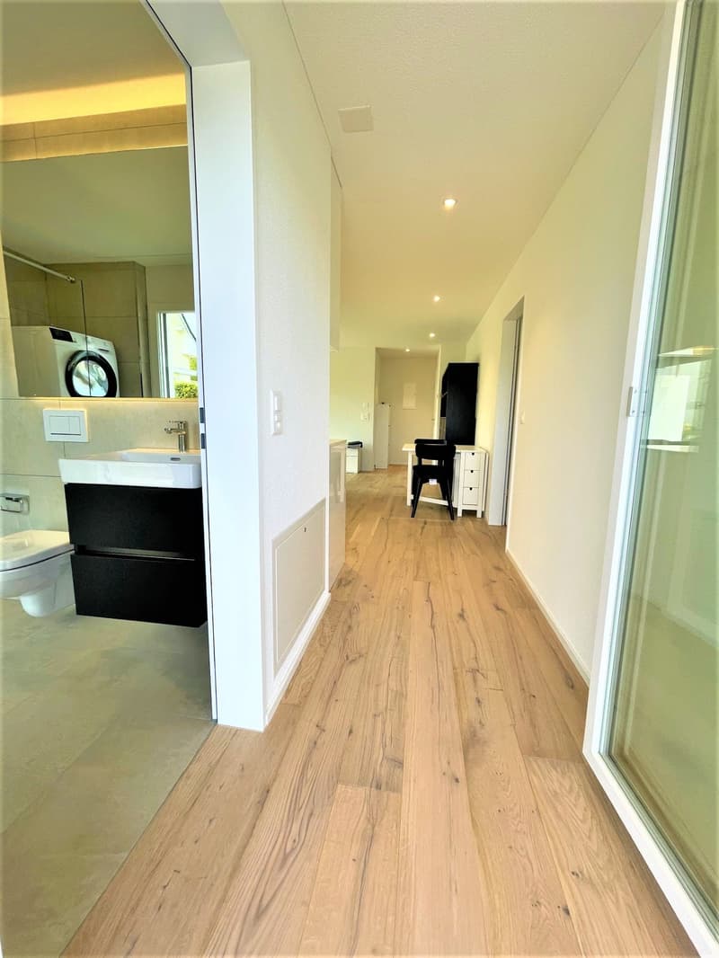 Moderne 2-Zimmer-Wohnung mit Balkon in Brunegg (7)