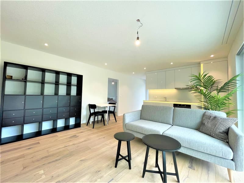 Moderne 2-Zimmer-Wohnung mit Balkon in Brunegg (1)