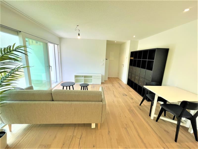 Moderne 2-Zimmer-Wohnung mit Balkon in Brunegg (3)