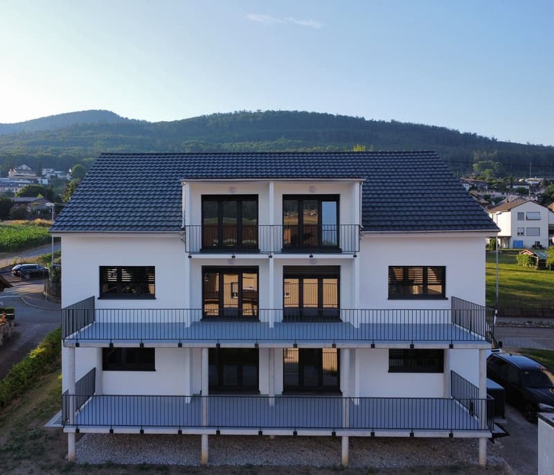 Wunderschöne 2.5 Zimmer Attika-Wohnungen in Wangen bei Olten (14)