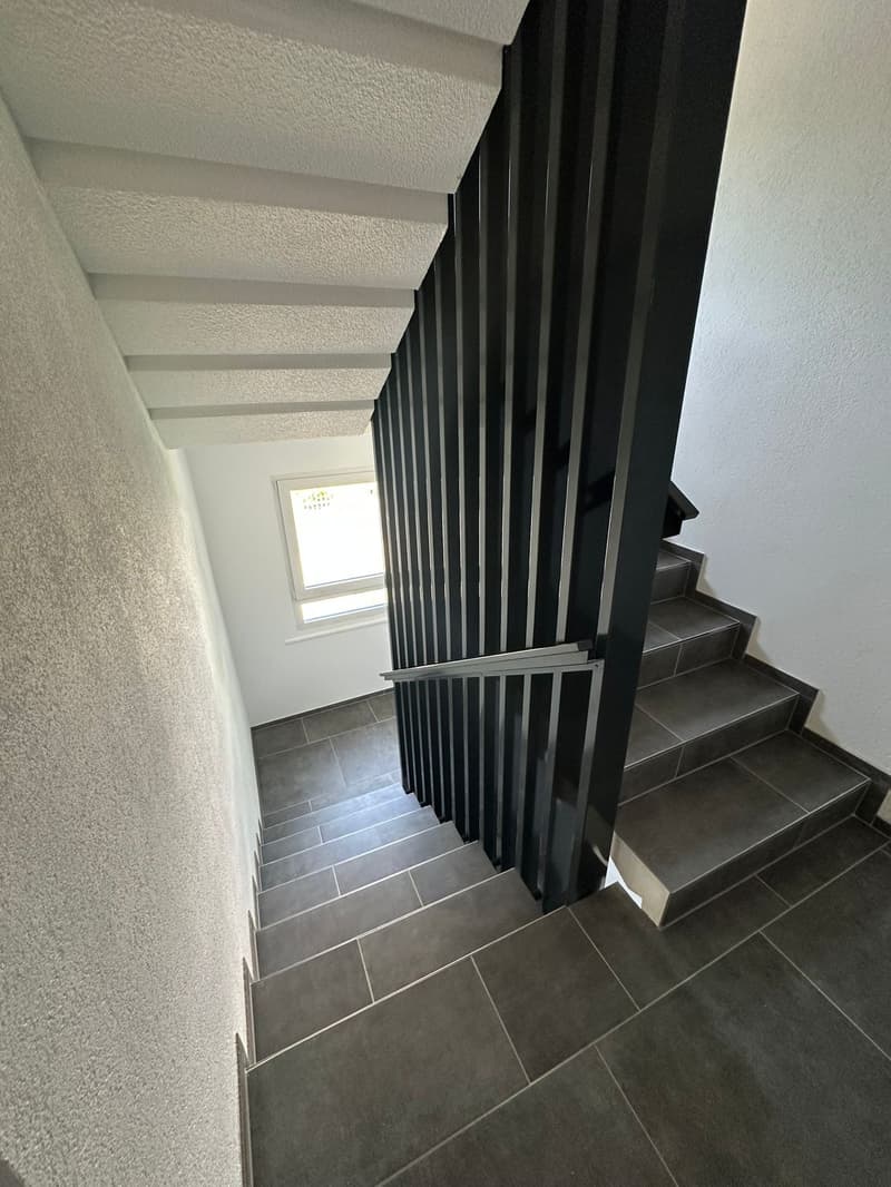 Wunderschöne 2.5 Zimmer Attika-Wohnungen in Wangen bei Olten (15)