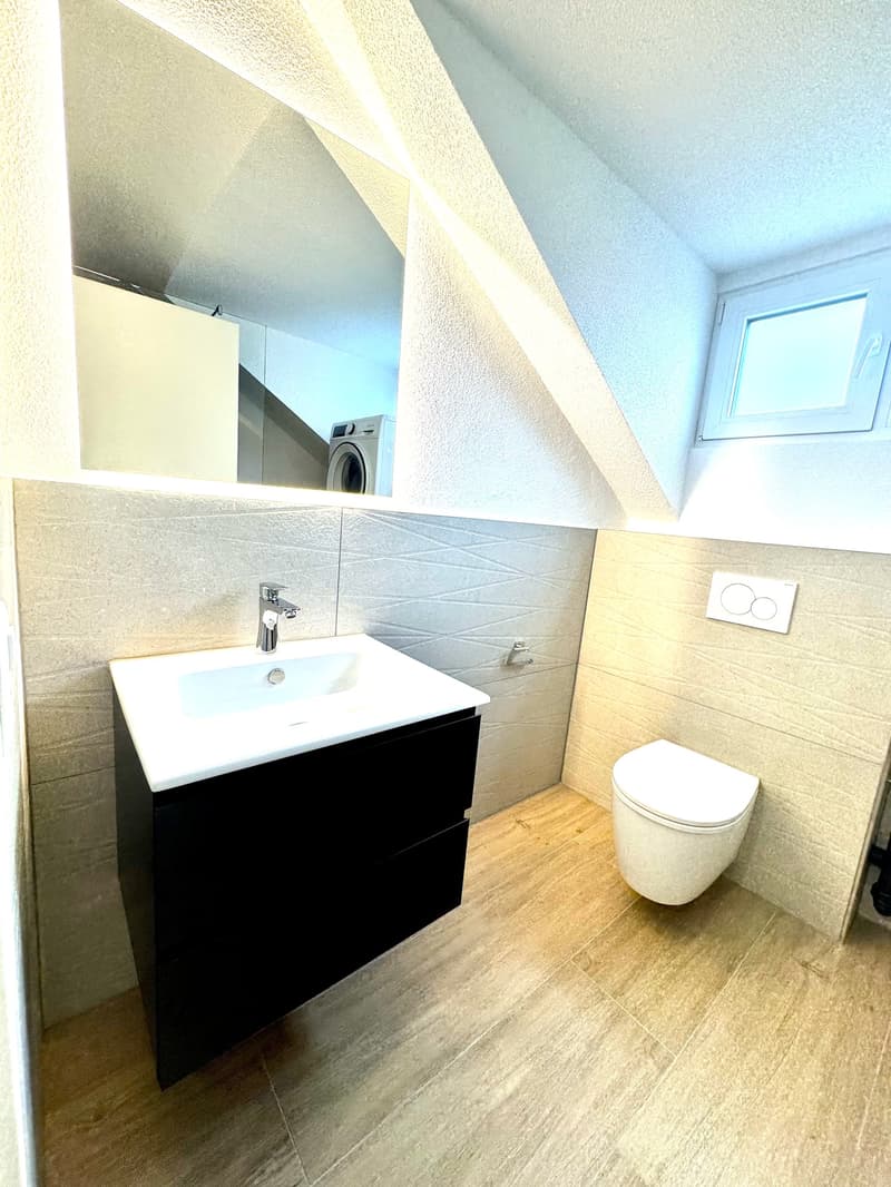 Wunderschöne 2.5 Zimmer Attika-Wohnungen in Wangen bei Olten (5)