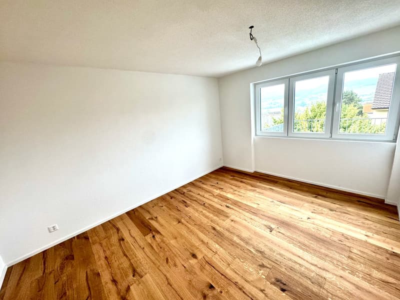 Wunderschöne 2.5 Zimmer Attika-Wohnungen in Wangen bei Olten (3)