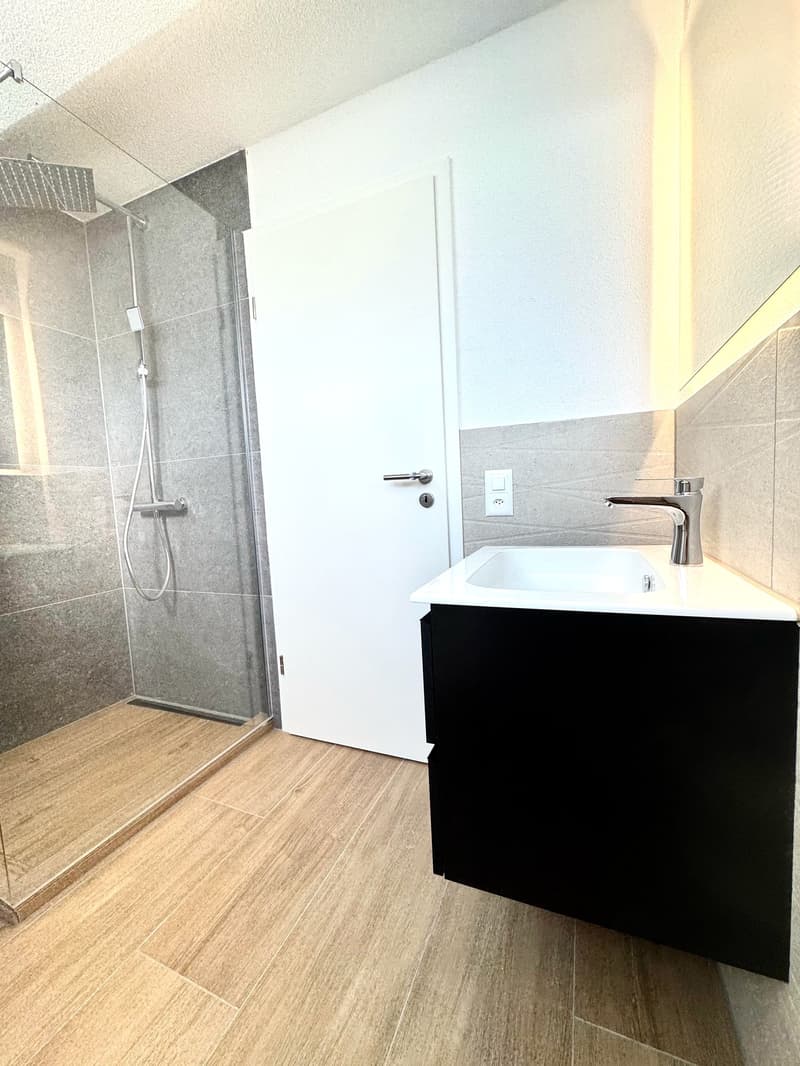 Wunderschöne 2.5 Zimmer Attika-Wohnungen in Wangen bei Olten (7)