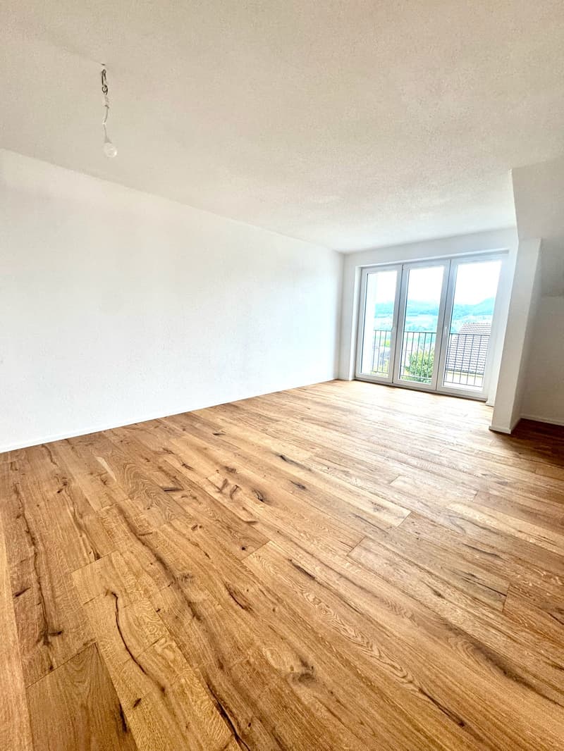 Wunderschöne 2.5 Zimmer Attika-Wohnungen in Wangen bei Olten (1)