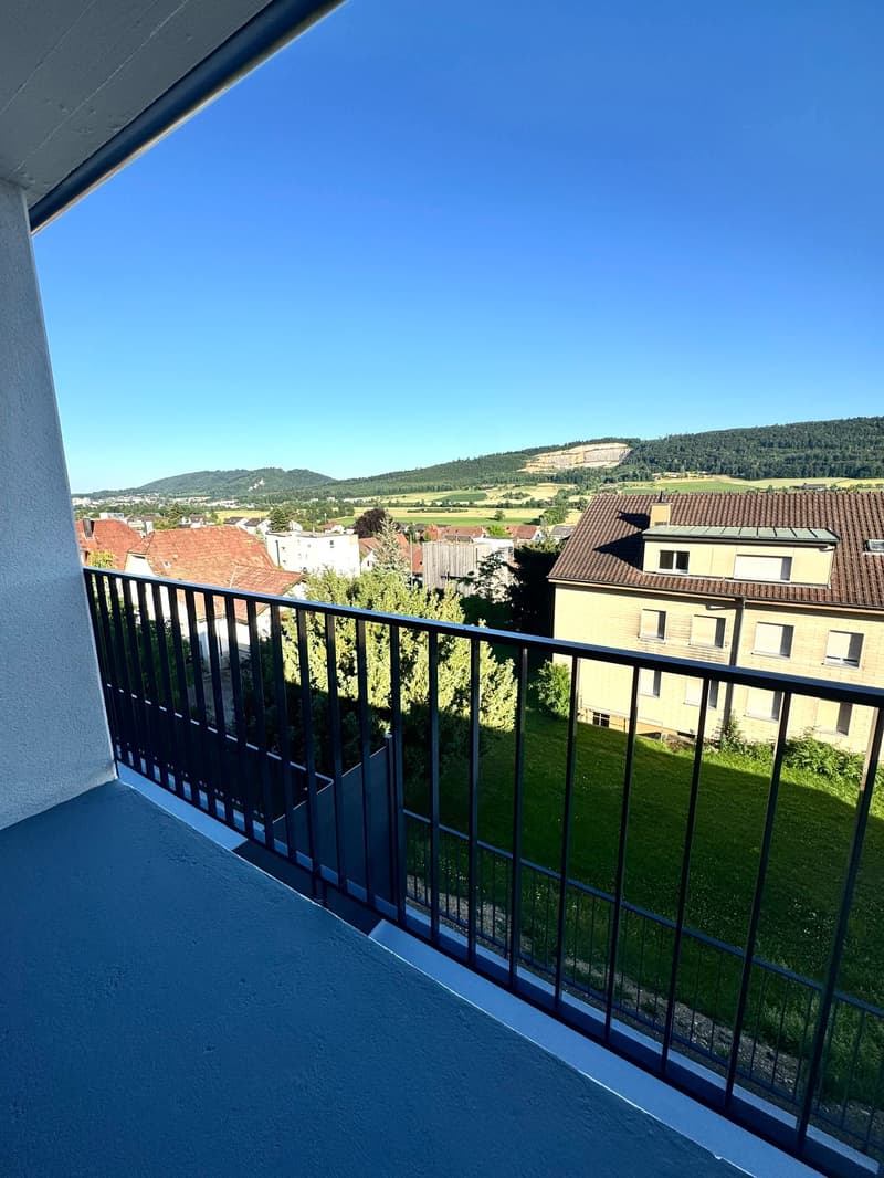 ERSTVERMIETUNG: Wunderschöne 2.5 Zimmer Attika-Wohnungen in Wangen bei Olten (13)