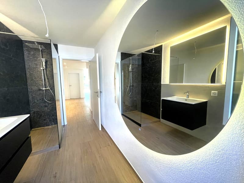 3. Etappe - ERSTVERMIETUNG: Wunderschöne 4.5-Zimmer-Wohnungen in Baden (6)