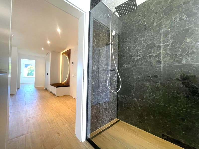 3. Etappe - ERSTVERMIETUNG: Wunderschöne 4.5-Zimmer-Wohnungen in Baden (1)