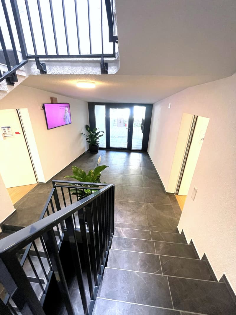 3. Etappe - ERSTVERMIETUNG: Wunderschöne 4.5-Zimmer-Wohnungen in Baden (17)