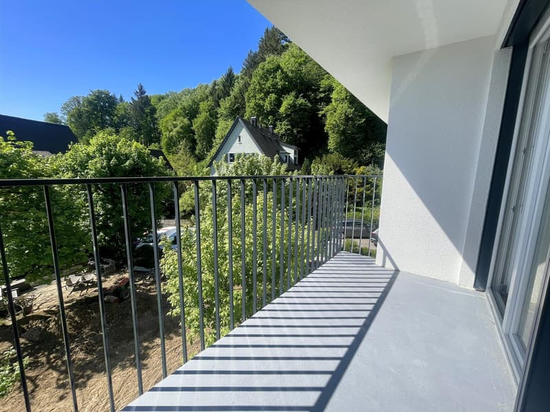 3. Etappe - ERSTVERMIETUNG: Wunderschöne 4.5-Zimmer-Wohnungen in Baden (15)