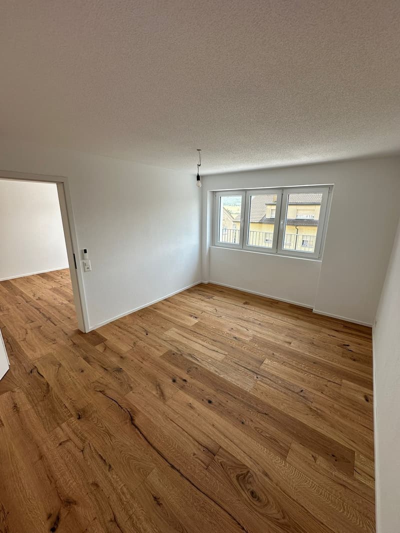 Charmante 3.5-Zimmer-Erdgeschosswohnung in Wangen bei Olten – sofort verfügbar! (1)