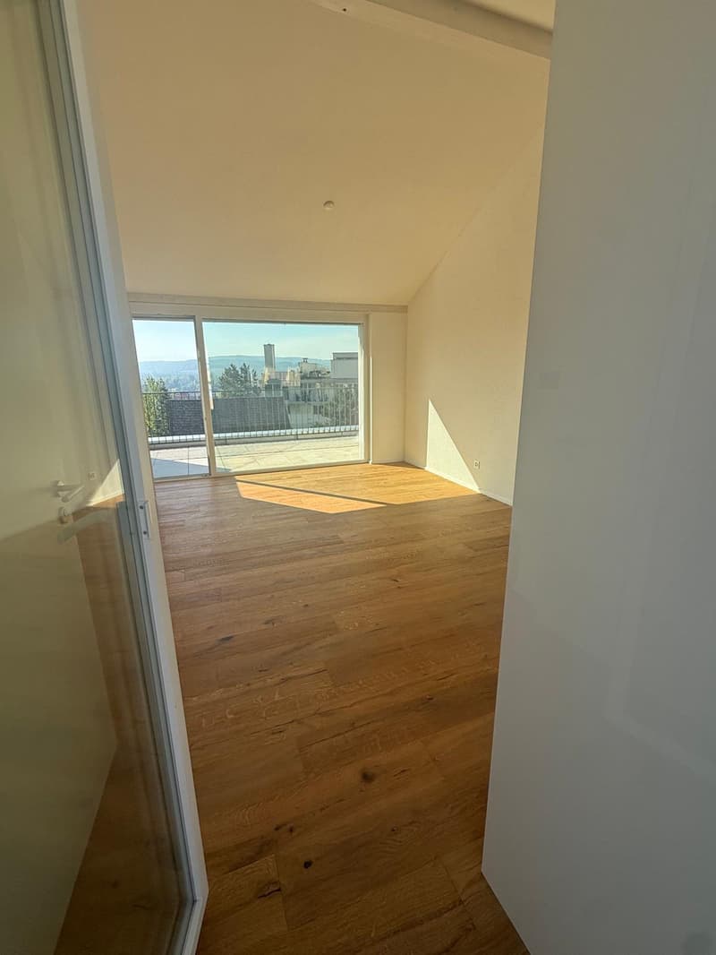 Tolle 2.5 Zimmer Attika-Wohnungen an erstklassiger Lage (2)