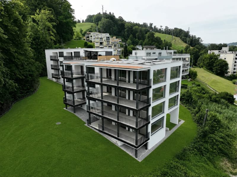 4.5-Zimmer Eigentumswohnung mit See-, Stadt- und Bergsicht! (10)