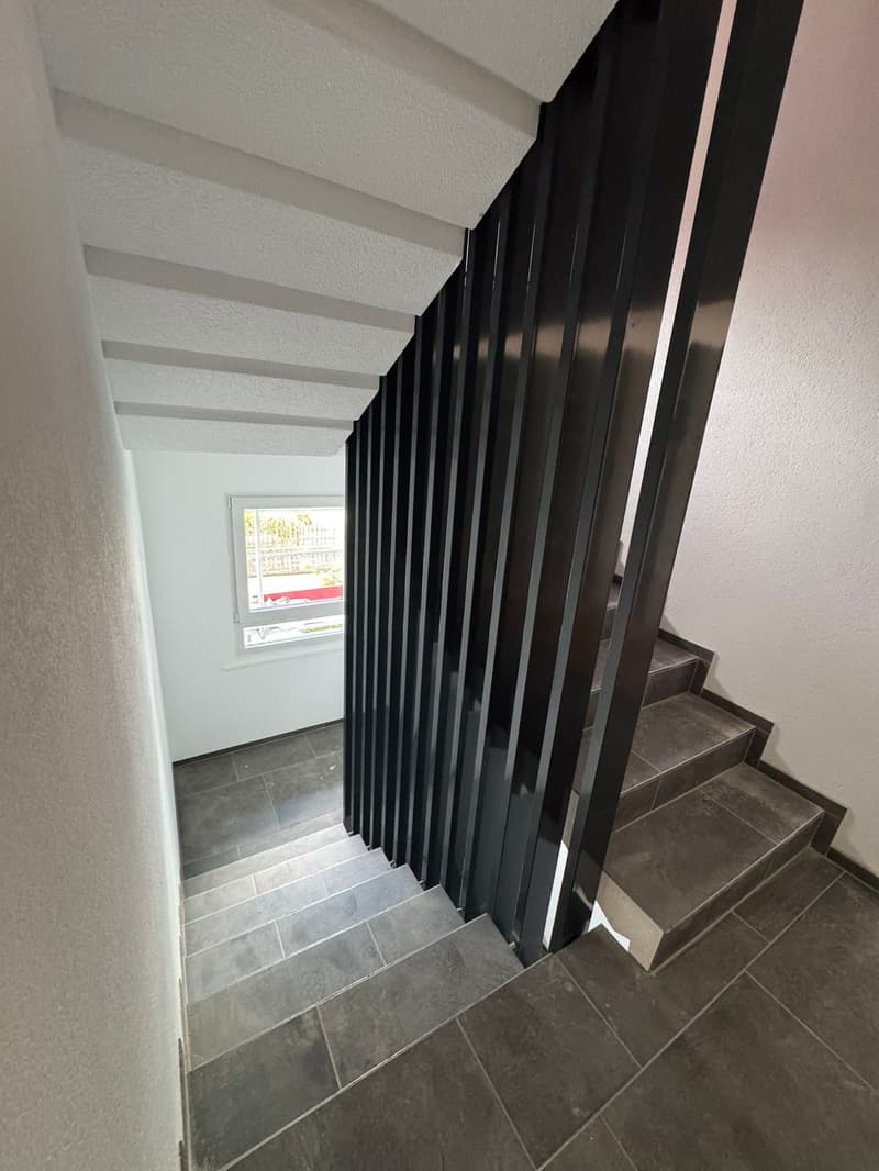 ERSTVERMIETUNG: Wunderschöne 3.5 Zimmer Wohnungen in Wangen bei Olten (11)
