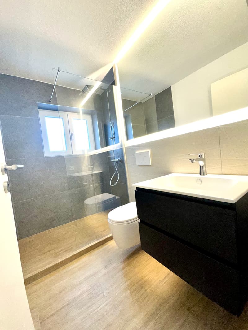 ERSTVERMIETUNG: Wunderschöne 3.5 Zimmer Wohnungen in Wangen bei Olten (2)