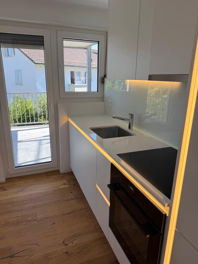NEU Sanierte 2-Zimmer-Wohnung mit Balkon und Bergblick in Luzern (5)