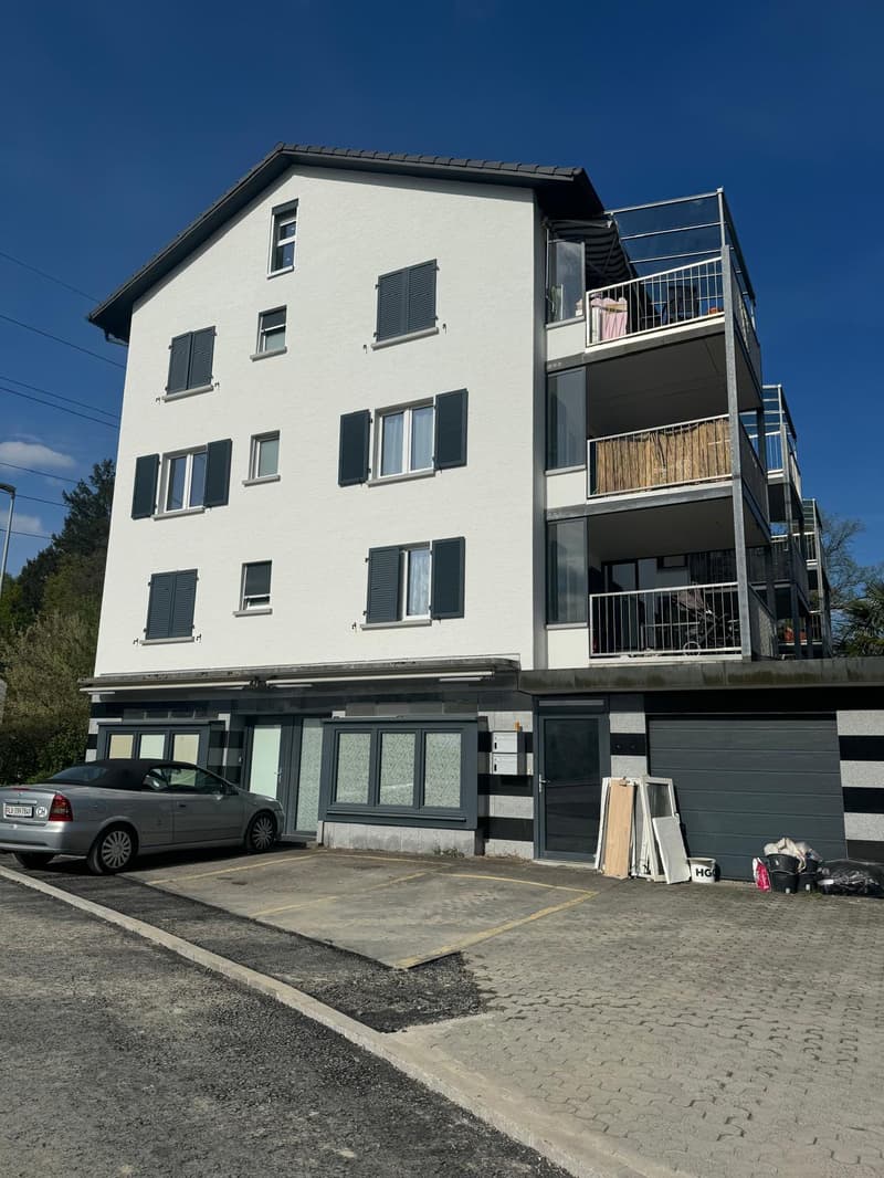 NEU Sanierte 2-Zimmer-Wohnung mit Balkon und Bergblick in Luzern (1)