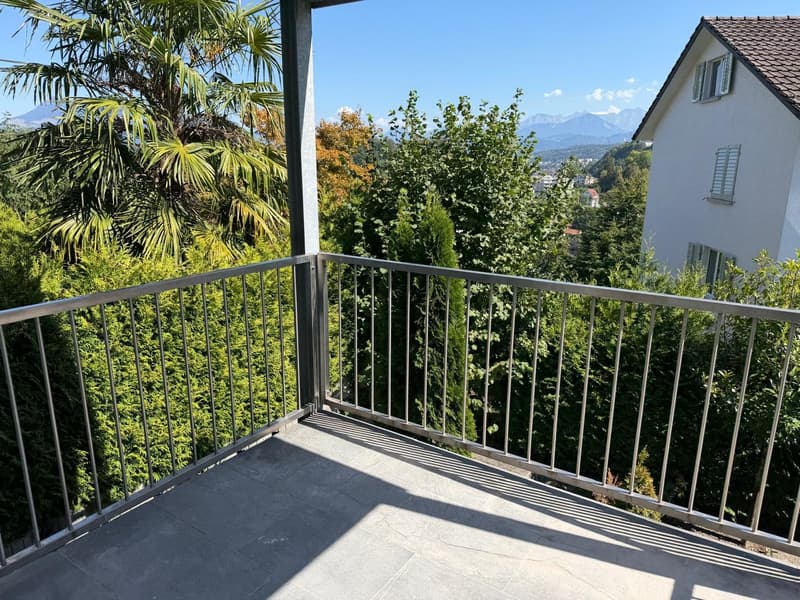 NEU Sanierte 2-Zimmer-Wohnung mit Balkon und Bergblick in Luzern (7)