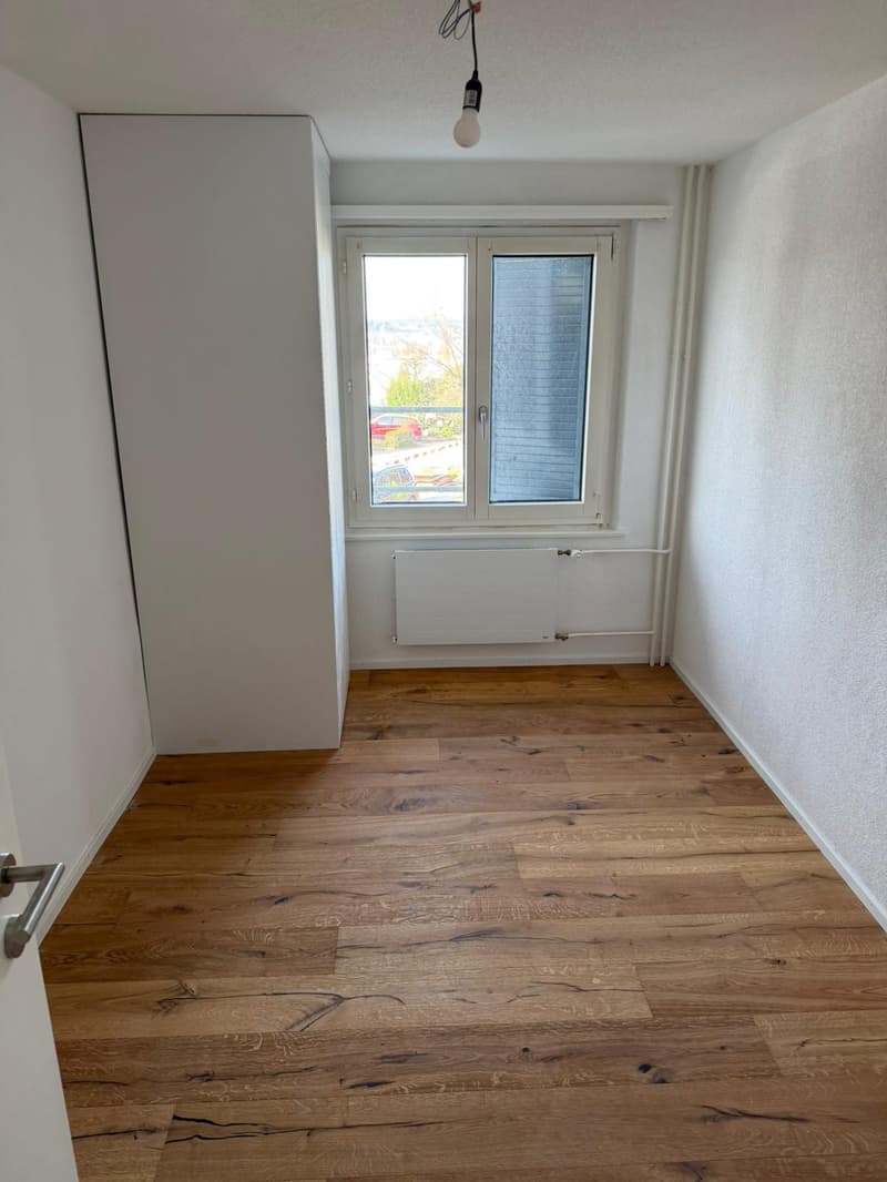 NEU Sanierte 2-Zimmer-Wohnung mit Balkon und Bergblick in Luzern (4)